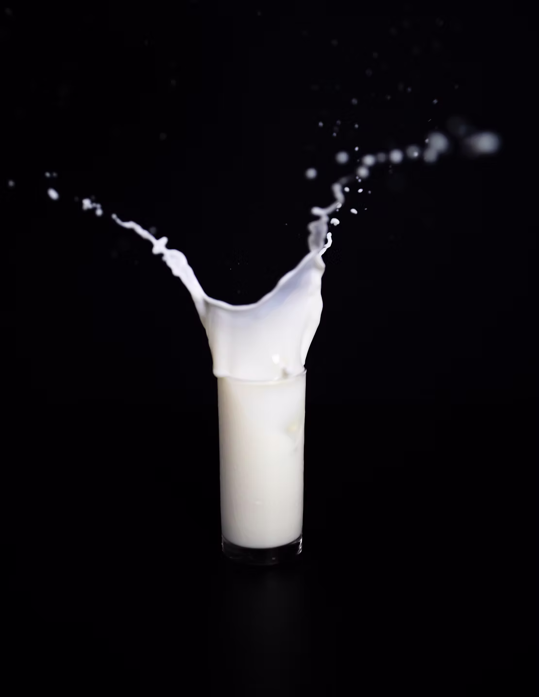 Ever wondered what type of microorganisms are found in Milk? Are these good or bad for health?