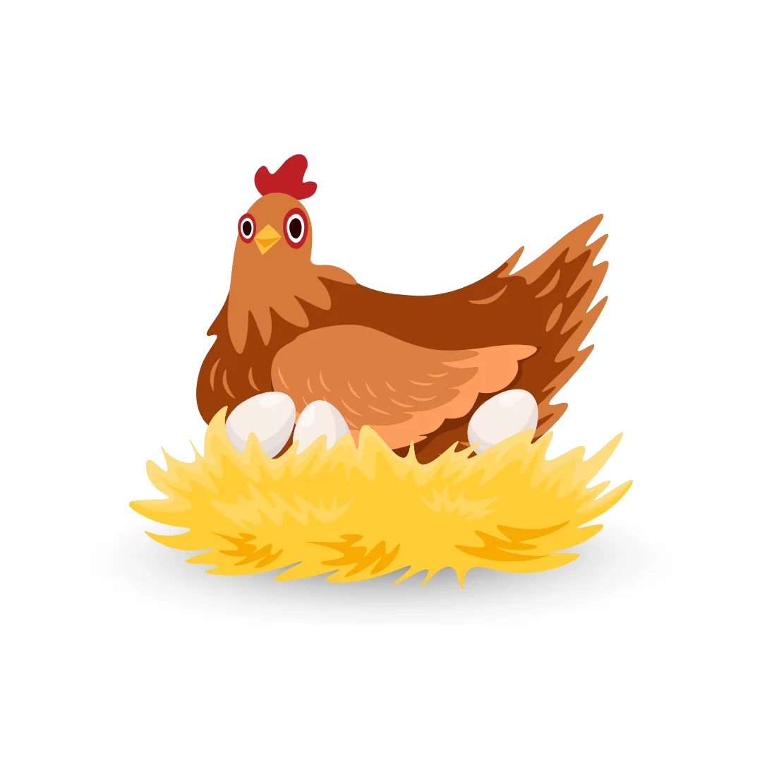 Kadaknath Chicken Eggs category