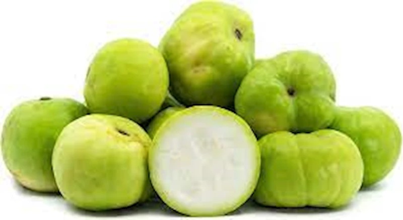 Apple Gourd (Tinda) (500gm) From Dalveer Vegetables Shop