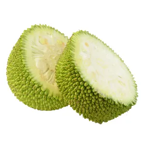 Jackfruit (Kathal) - 50 Gm