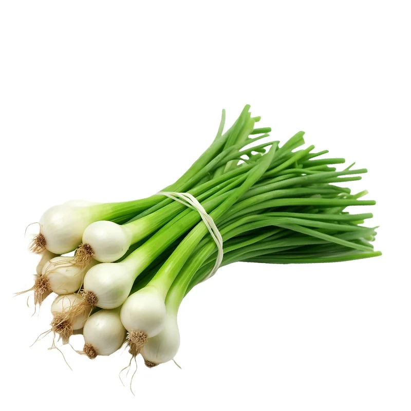 spring Onion (organically-grown) - 500Gm