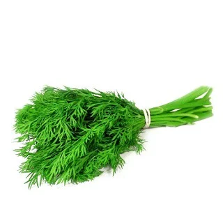 Dill-leaves(soya-patta) Organically-grown- 250Gm