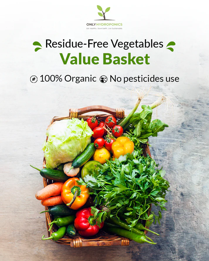 Residue free vegetables (Value basket)