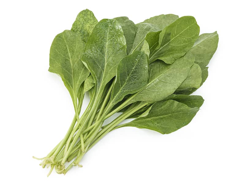 Hydroponic (spinach) - 1Kg