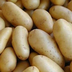 Chipsona Potato (aloo) - 500 gm