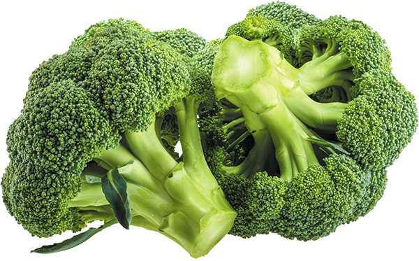 Broccoli - 500gm