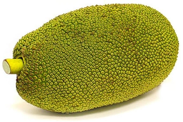 Jackfruit (Kathal) - 500gm