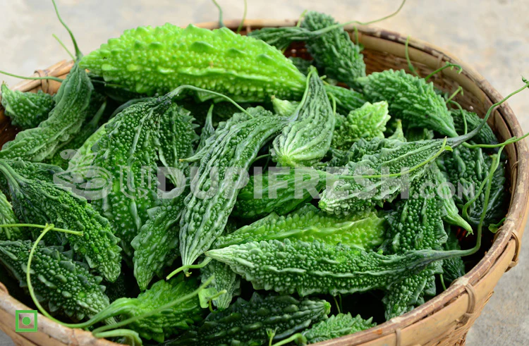 Bitter Gourd (Karela) - 500 gm
