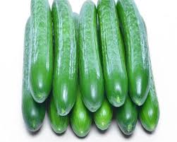 Chinese cucumber (Kheera) 