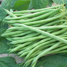 Beans (Lobhiyon ki phali) - 250 gm