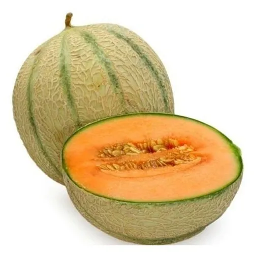 Muskmelon - 