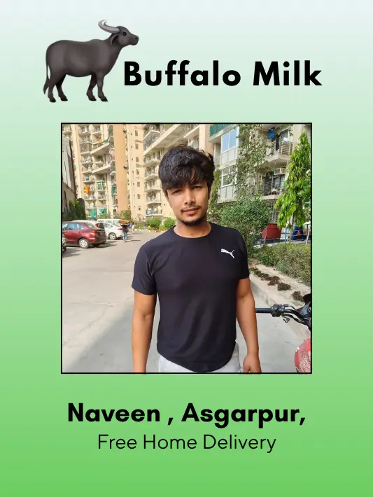 Fresh and Pure Buffalo Milk- 500 ml From Naveen, Asgarpur
