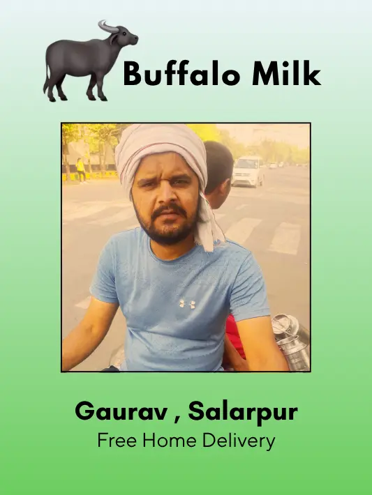 Fresh and Pure Buffalo Milk- 500 ml From Gaurav, Salarpur