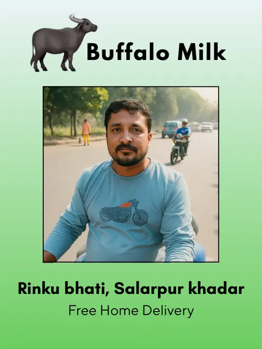 Fresh and Pure Buffalo Milk- 500 ml From Rinku Bhati, Sikandrabad 