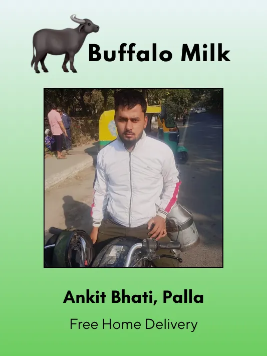 Fresh Buffalo Milk 500 ML From Ankit Bhati