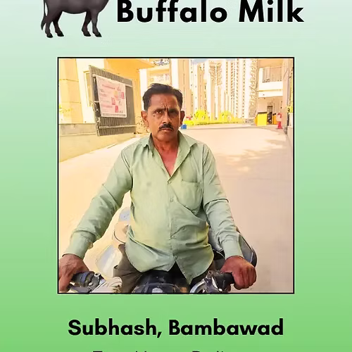 Fresh and Pure Buffalo Milk- 500 ml From Subhash, Bambawad