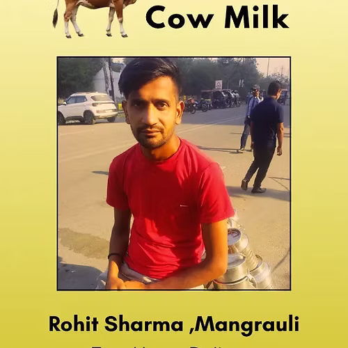 Fresh and Pure Cow Milk- 500 ml Rohit Sharma , Mangrauli
