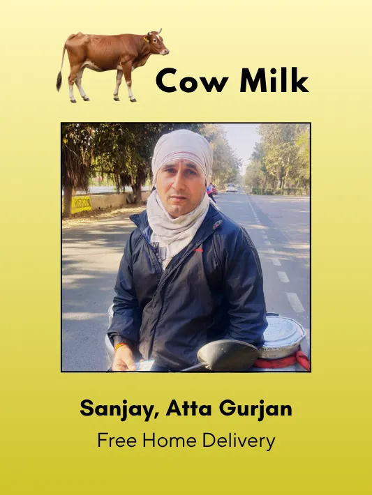 Cow Milk 500 ML from Sanjay Atta Gurjan