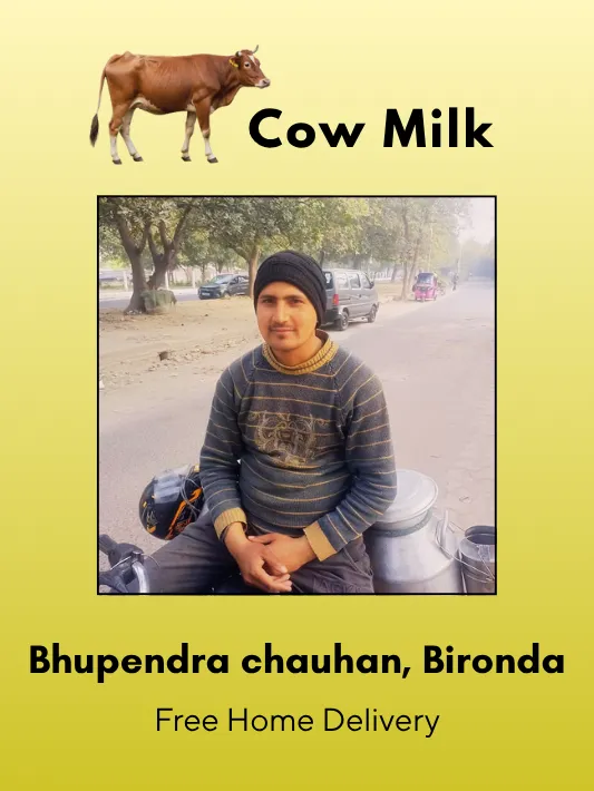 Fresh Cow Milk 500 ML from Bhupendra Chahuhan