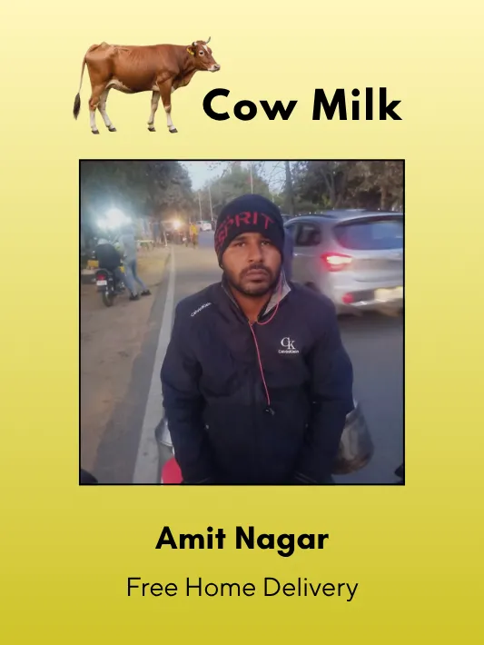 Fresh Cow Milk 500 ml from Amit Nagar, Dhankaur