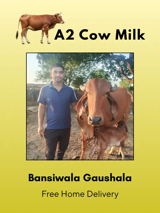 Fresh A2 Cow Milk 500 ML from Bansiwala Gaushala
