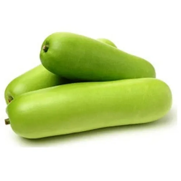 Bottle guard (Loki) 500gm From Lalit, Xu1, Greater Noida