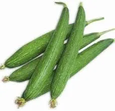 Ridge gourd (Tori) 500gm From Lalit, Xu1, Greater Noida