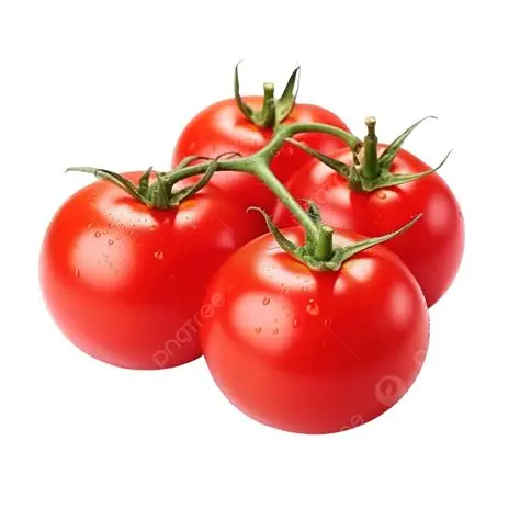 Tomato (500 gm) from Green Garden