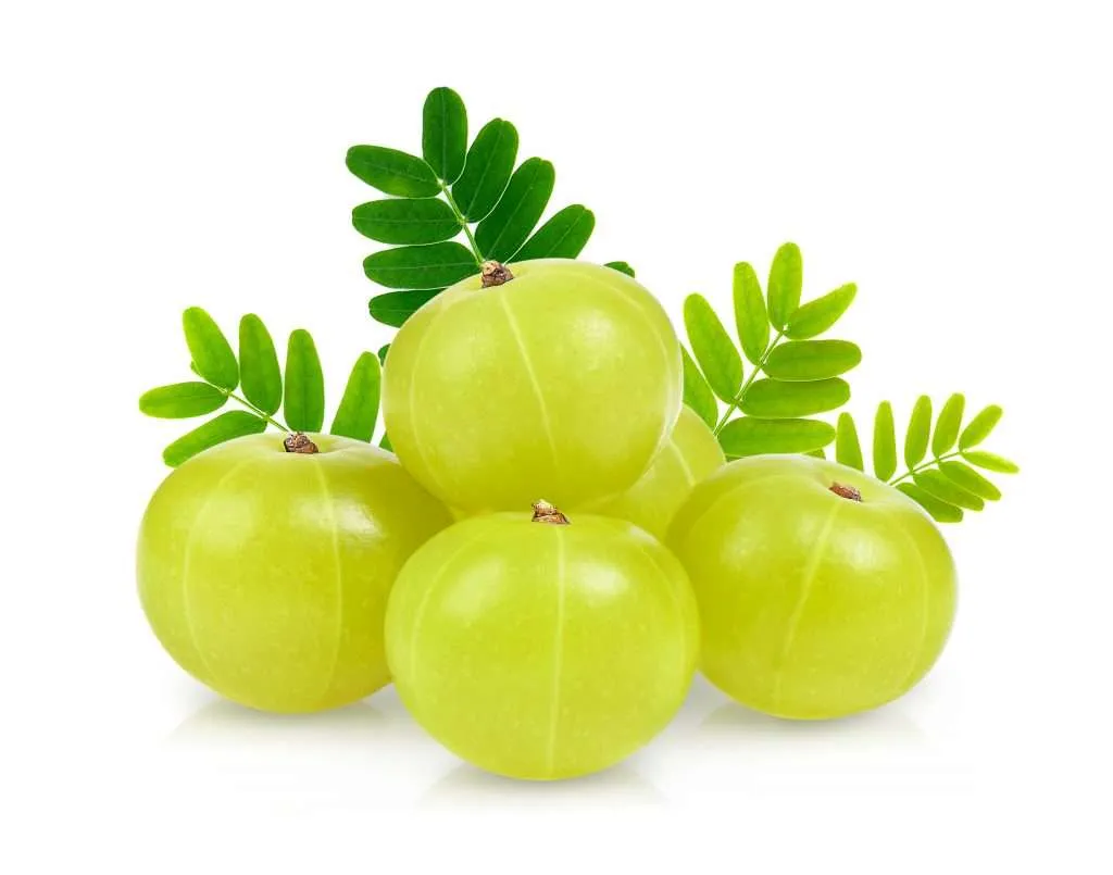 Indian Gooseberry (Amla) (500gm)  From Green Garden