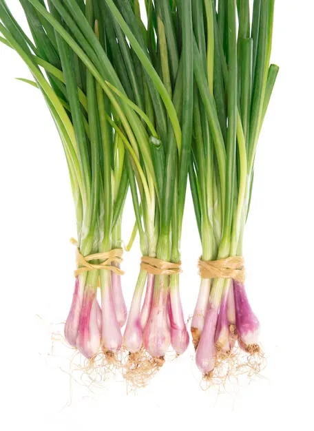 Spring Onion (Hara Pyaz) (500gm)  From Green Garden