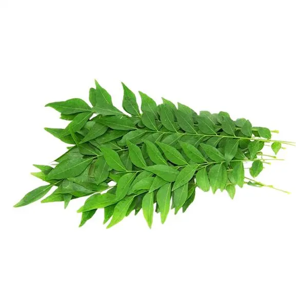 Curry Leaves (Kari Patta) (100gm)  From Green Garden