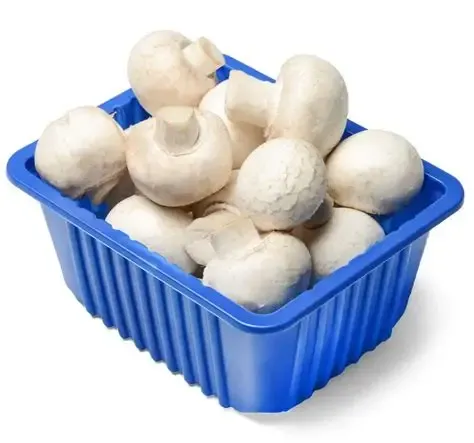Mushroom(1 box) From Green Garden