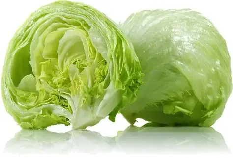 Iceberg Lettuce (Iceberg) (500gm)  From Green Garden