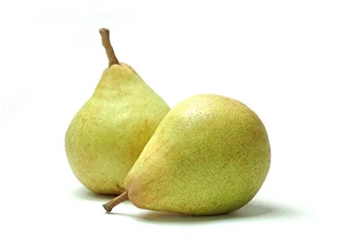 Beauty Pear (Naakh) (500gm)  From Green Garden