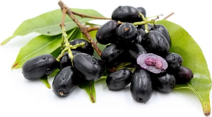 Black Plum (Jamun) (500gm)  From Green Garden