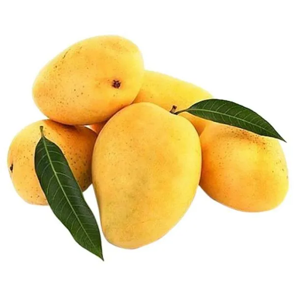 Safeda Mango (500gm)  From Green Garden