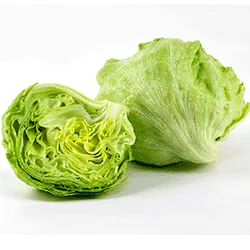 Lettuce from Rohit