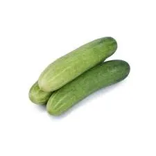 Organic Cucumber (Organic Kheera) from Rohit