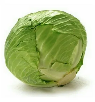 Cabbage (Patta Gobhi) from Rohit