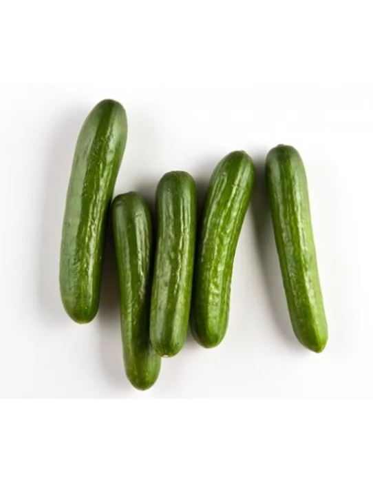 English cucumber (Kheera) From Vivek  