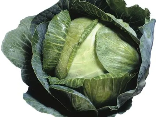 Cabbage (Patta Gobhi)  -500g from Rahul