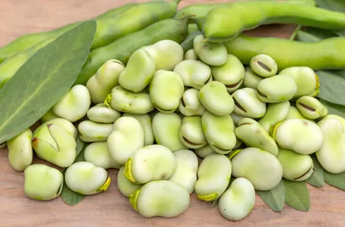 Broad Beans (Lovia Beans)  -500g from Rahul