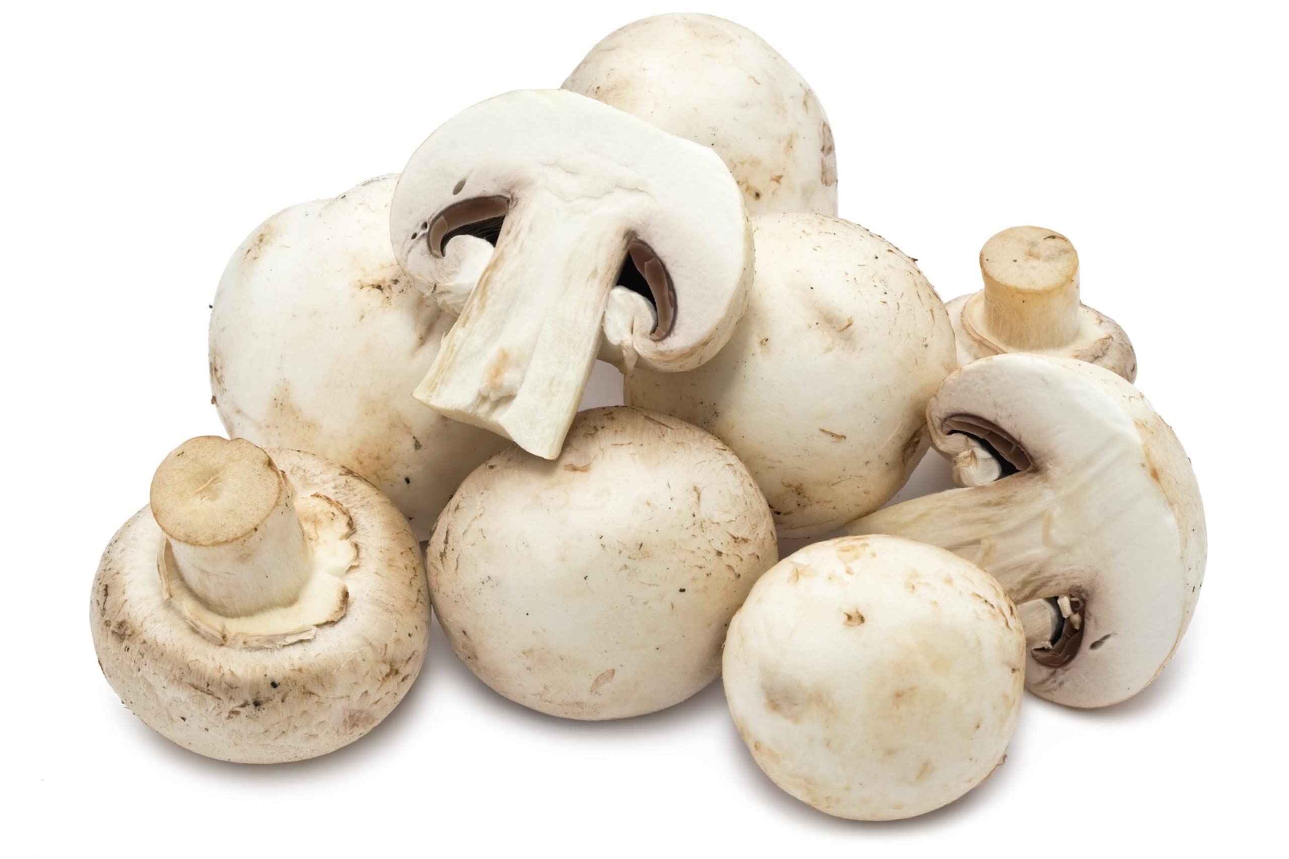 Mushroom (Mashroom)  -500g from Rahul