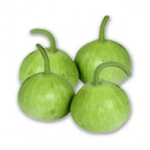 Round Bottle Gourd (Gol Loki)  - 500g from Rahul