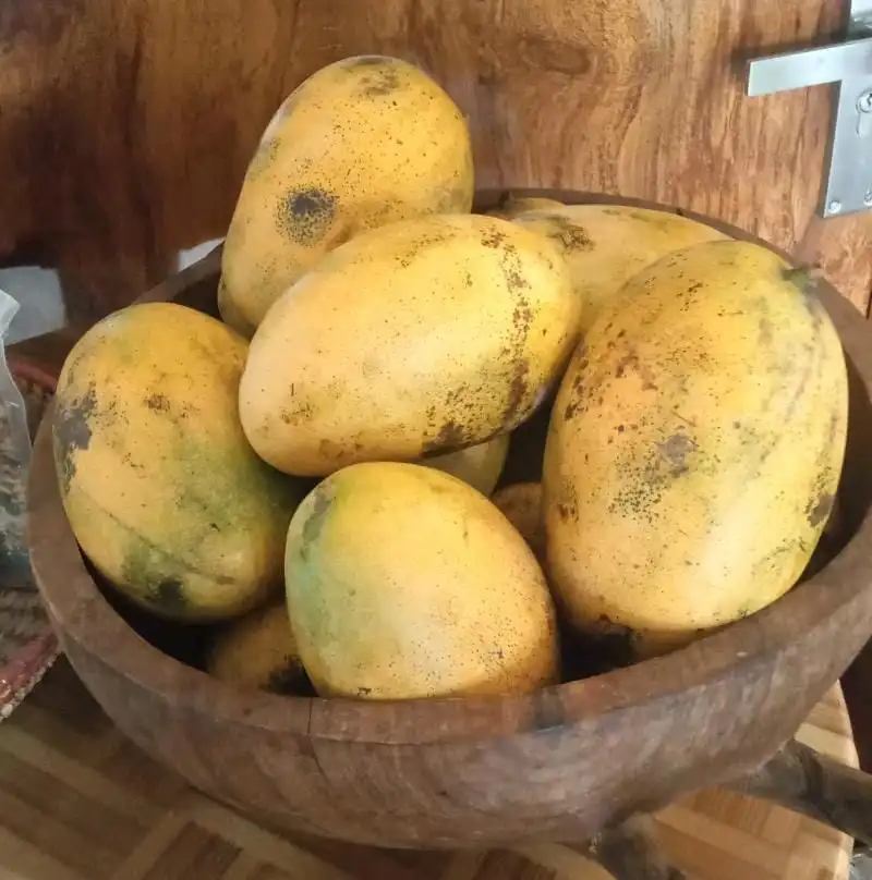 Organic Mallika Mango