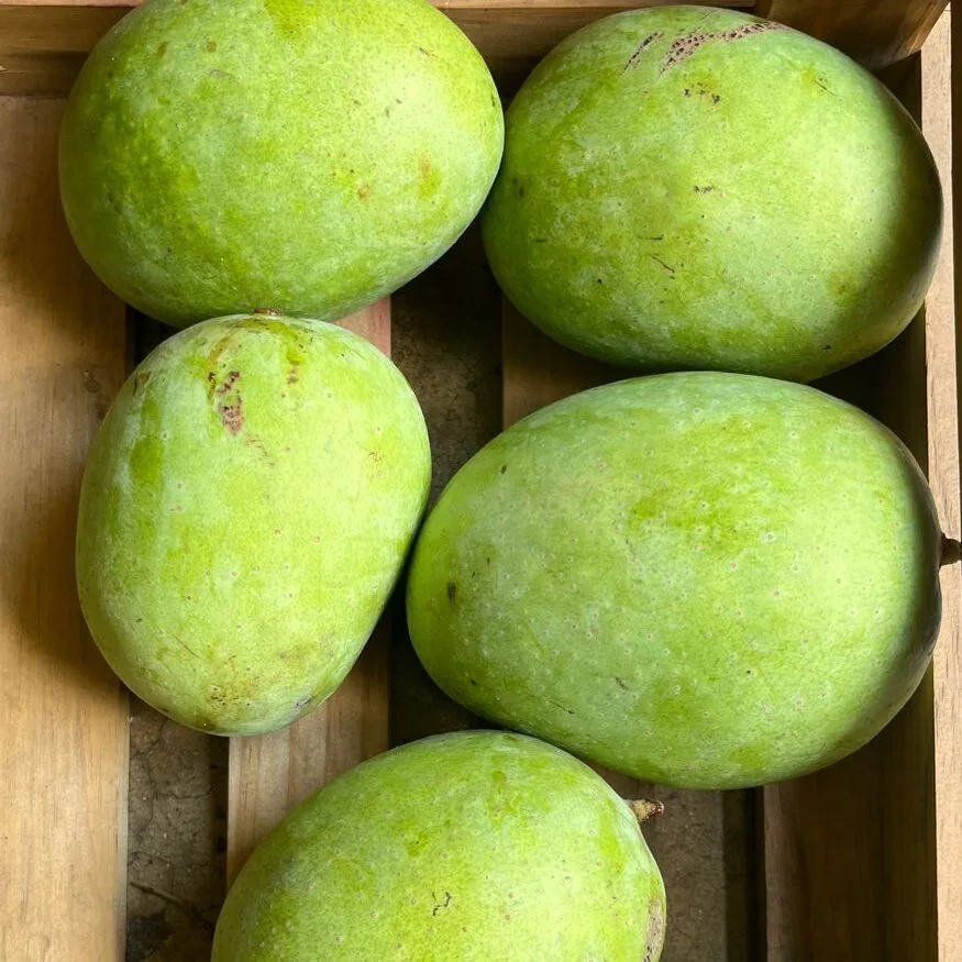 Organic Mallika Mango