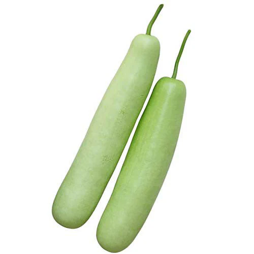 Bottle Gourd (Loki)-500g from Manoj bhati