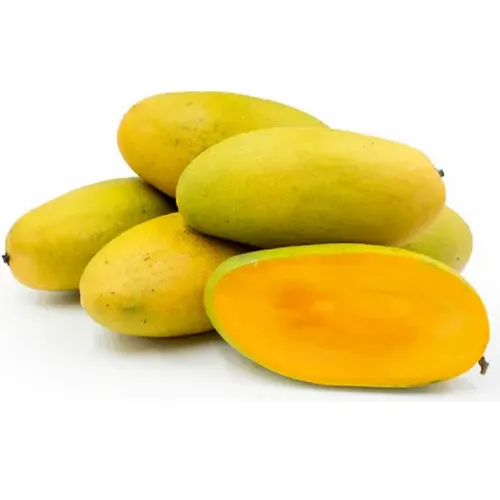 Golden Dashari Mango (Sunehra Dasheri Aam)-500g from Manoj bhati