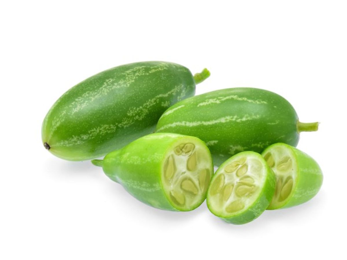 Ivy Gourd (Kundru)-500g from Manoj bhati