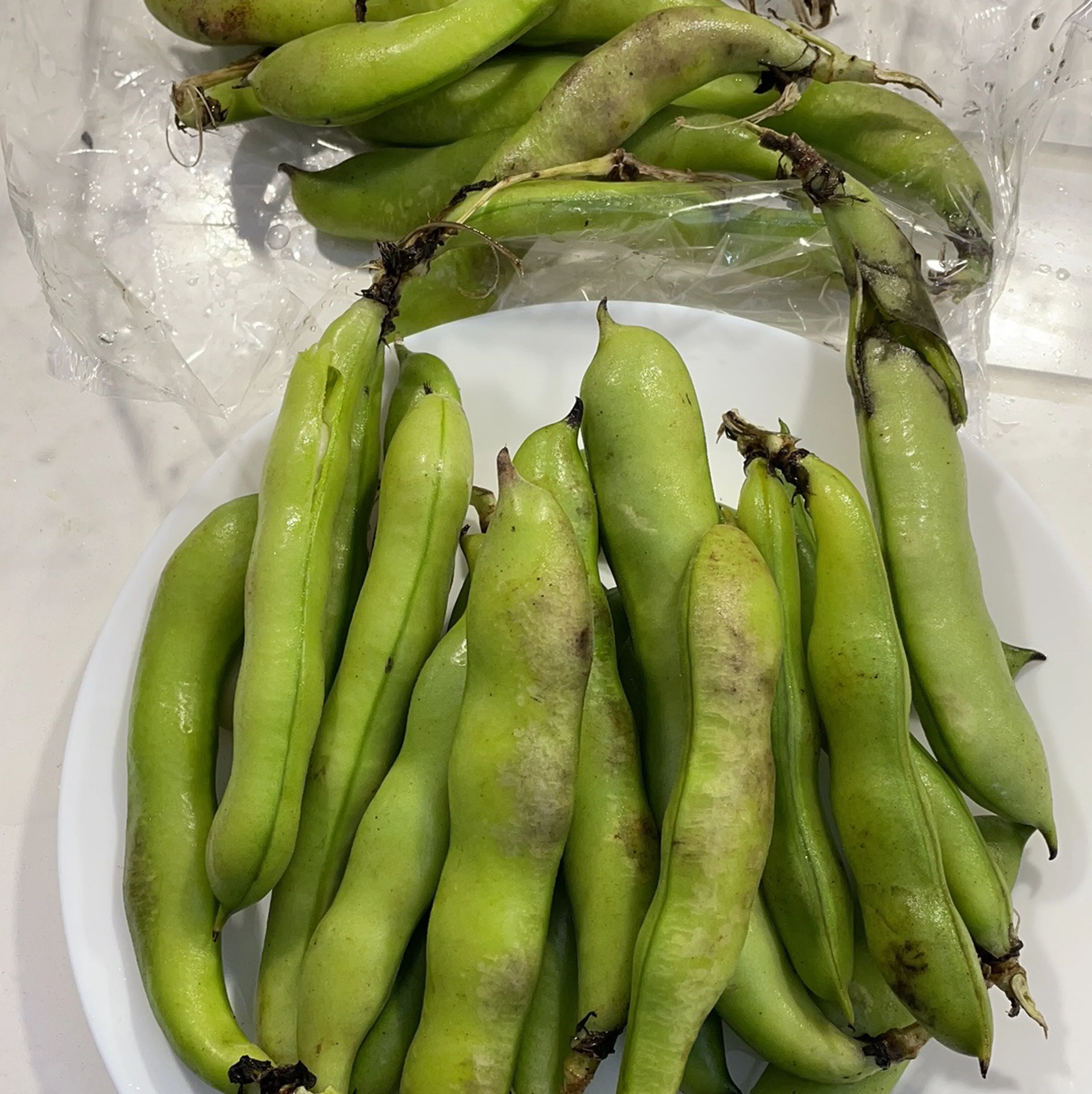 Broad Beans (Lovia Beans)-500 from Bhole fruits and vegetable